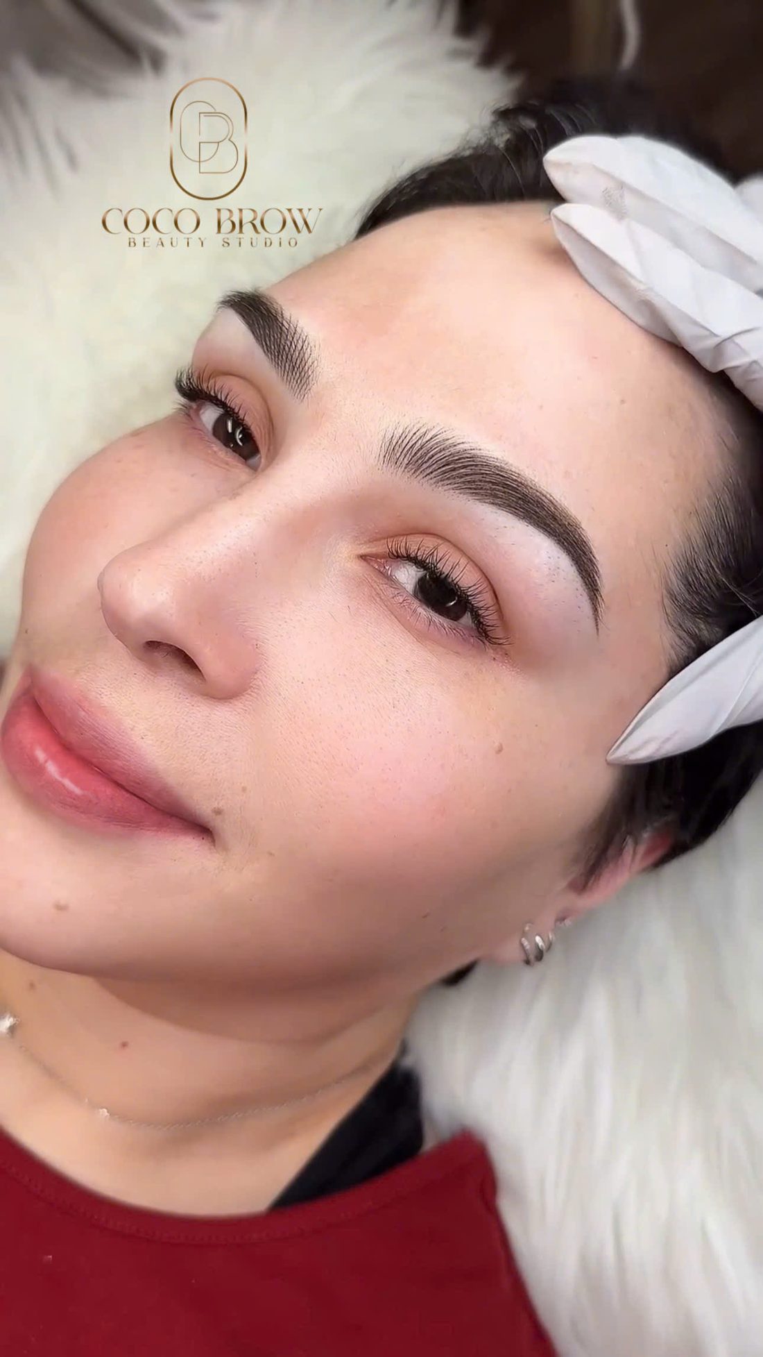 Hybrid Brows result