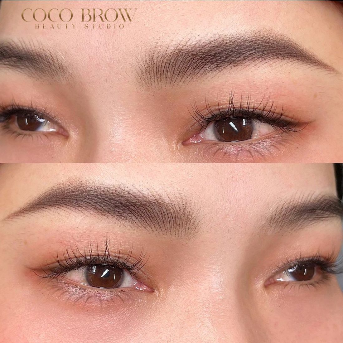 Hybrid Brows — COCO BROW Singapore