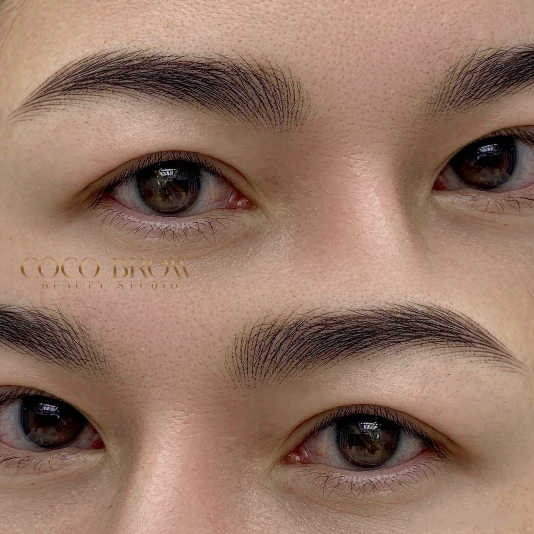 Digital Hair Strokes (Female) — COCO BROW Singapore
