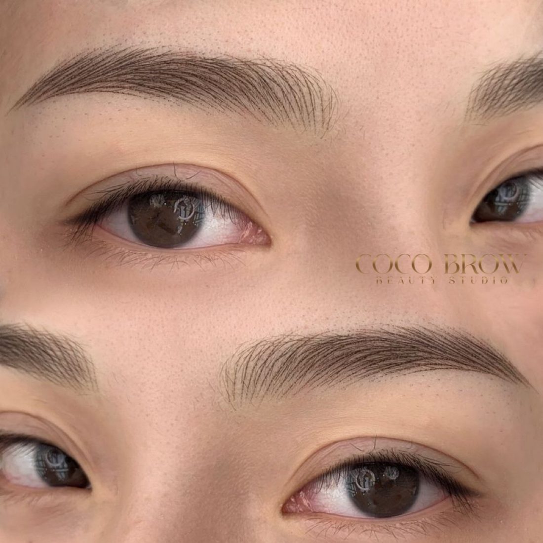 Microblading 6D — COCO BROW Singapore