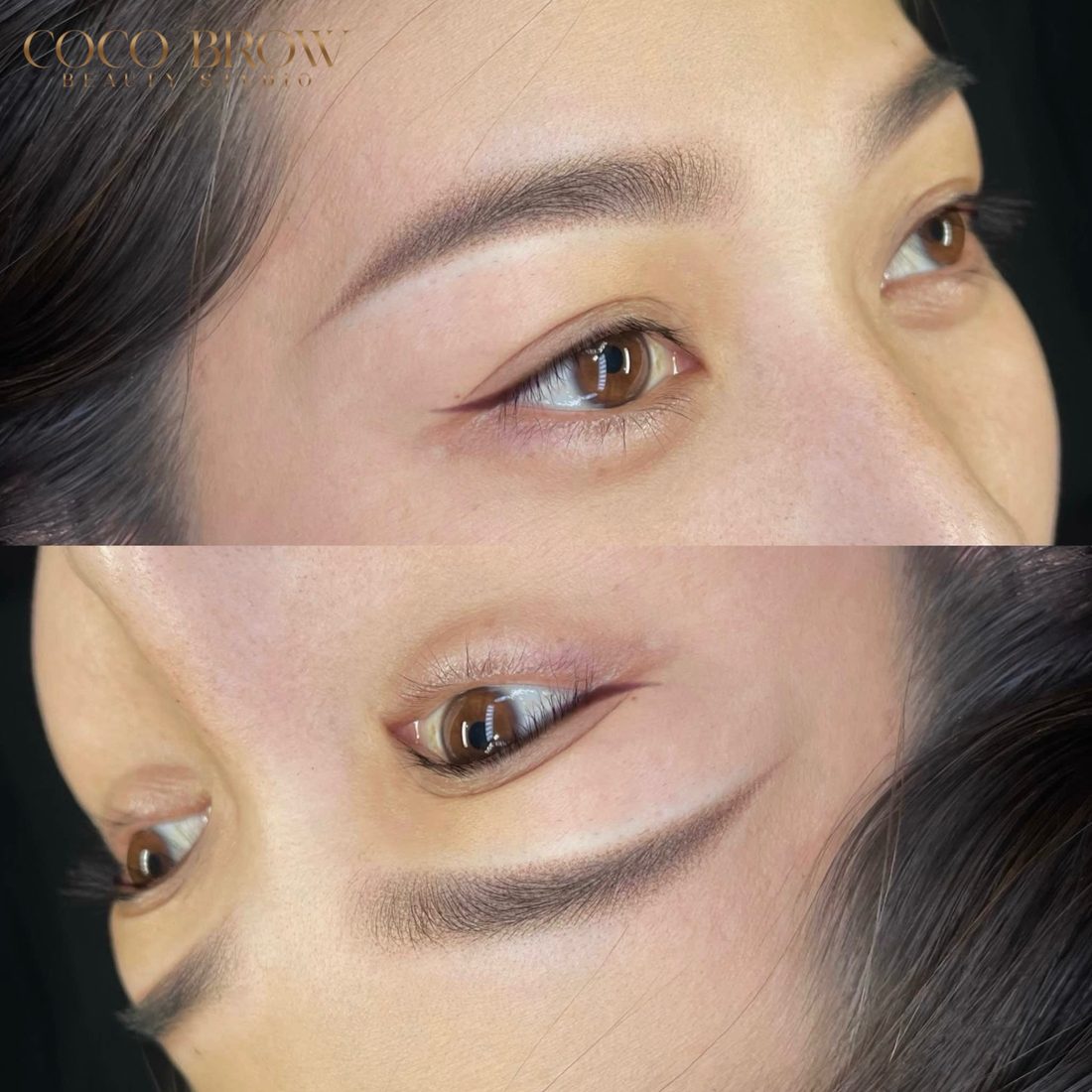 Ombré Powder — COCO BROW Singapore